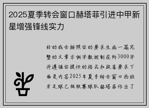 2025夏季转会窗口赫塔菲引进中甲新星增强锋线实力